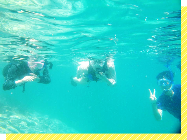 写真：透明感のある綺麗な海に潜る人々